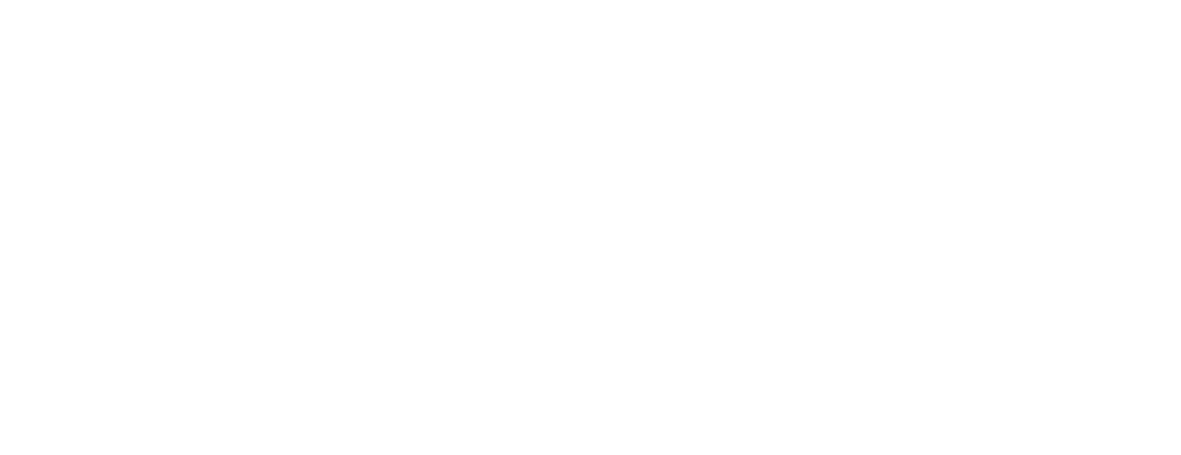 Kegon_Logo_weiss